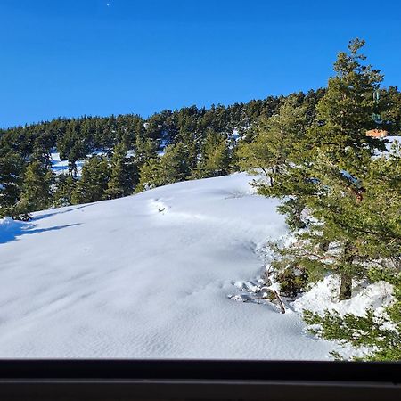 Apartamento Greolieres Les Neiges Exterior foto