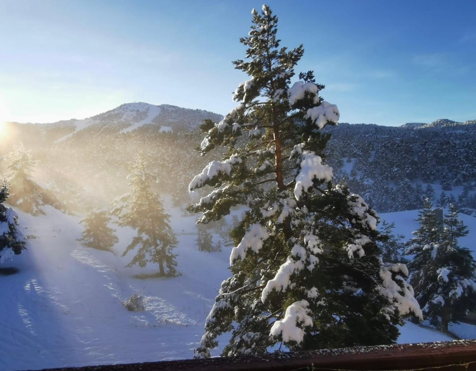 Apartamento Greolieres Les Neiges Exterior foto