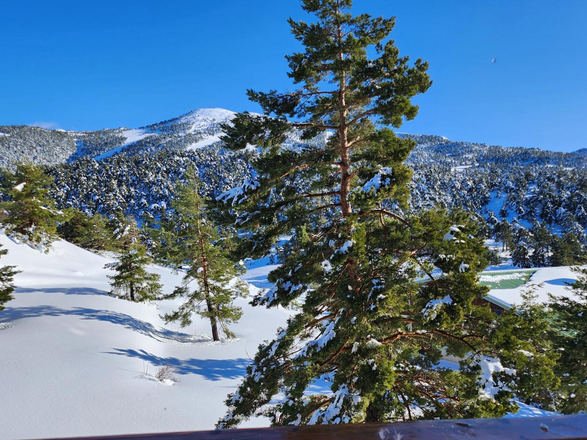 Apartamento Greolieres Les Neiges Exterior foto